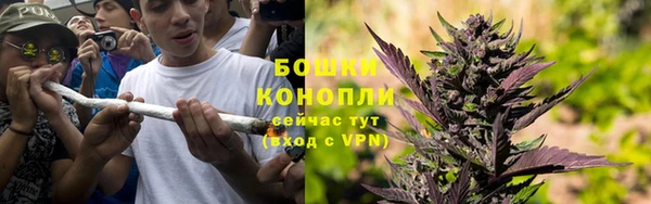 дурь Алзамай